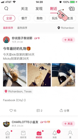 giphy2.gif