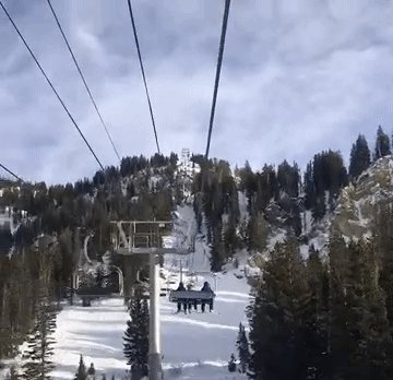 ezgif.com-crop.gif