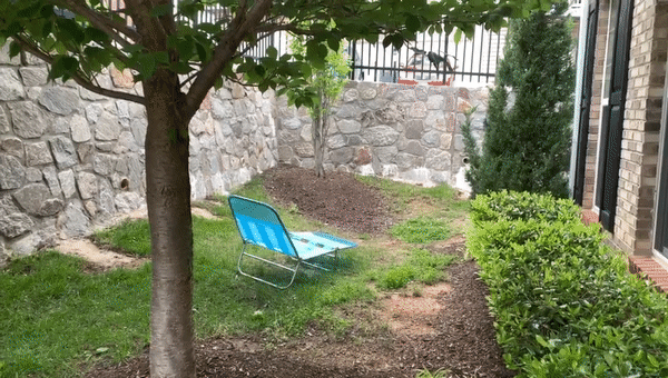 ezgif.com-video-to-gif (1).gif