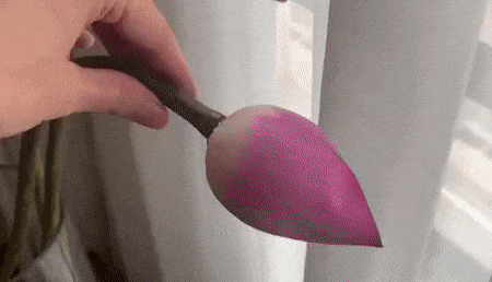 花瓣折.gif