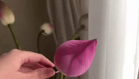 斜折法.gif
