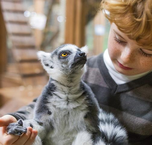 Boy%20with%20Lemur.png