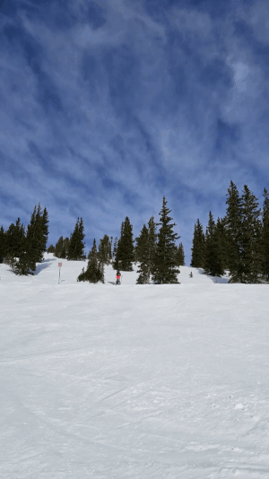 ezgif.com-gif-maker (1).gif