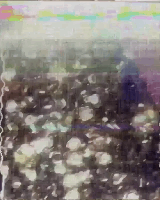 tutieshi_640x800_3s (1).gif