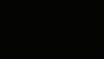 MVI_1658.gif