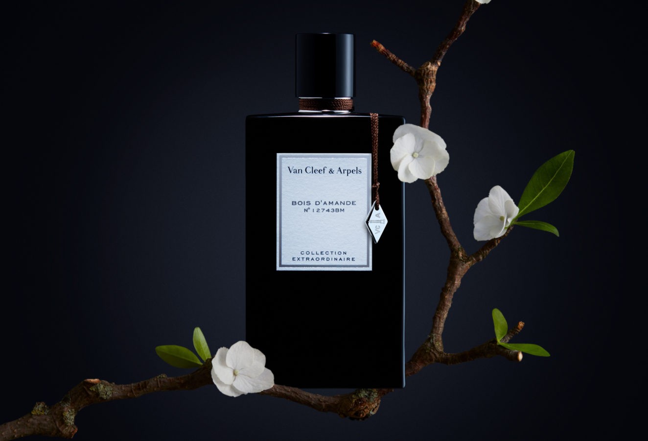 beauty_packshot.4145f103448.original-1324x900.jpg
