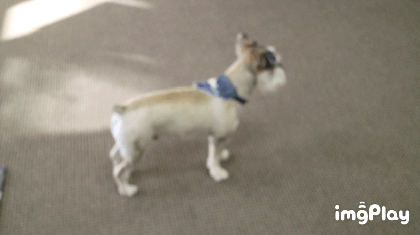 IMB_Kf12U2.GIF