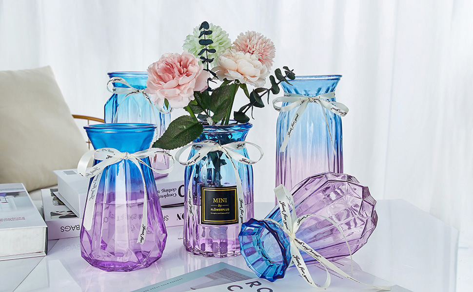 Xilei 北欧风简约玻璃装饰花瓶2件 北美省钱快报