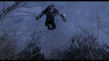 Werewolves Photo_ Gotcha.gif