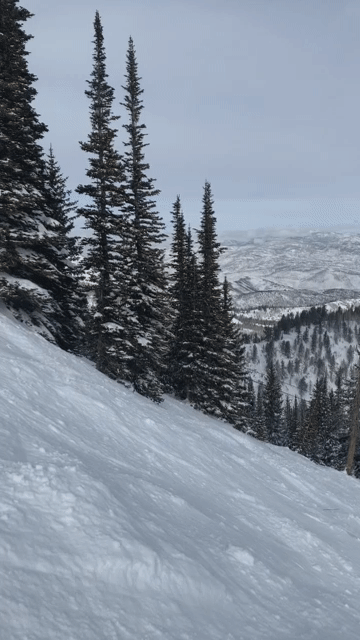 ezgif.com-gif-maker (1).gif