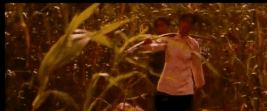 5.gif