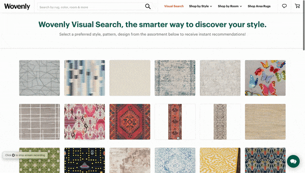 visual_search.gif