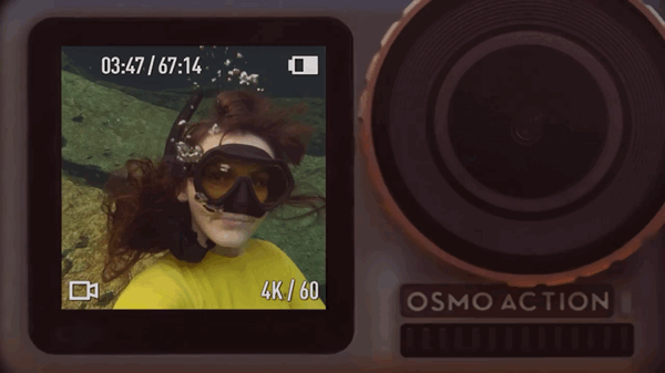 VideoToGif_GIF 13.GIF