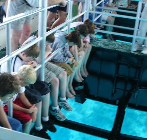 Glass-bottom-boat%20%281%29.png