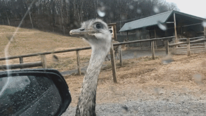 ezgif.com-gif-maker.gif
