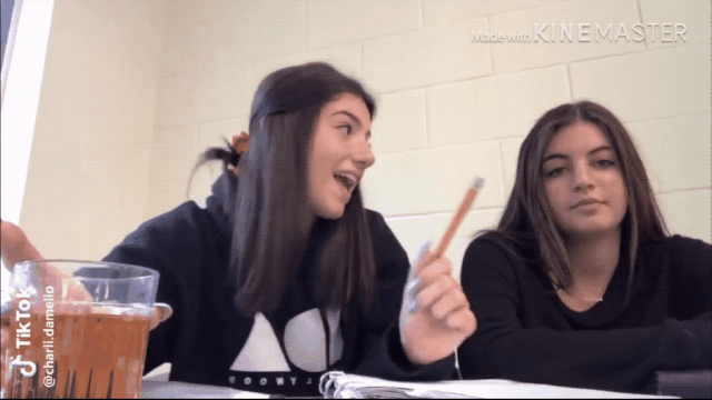 IMG_4240.GIF