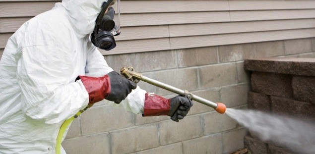 termite-control-service.jpg