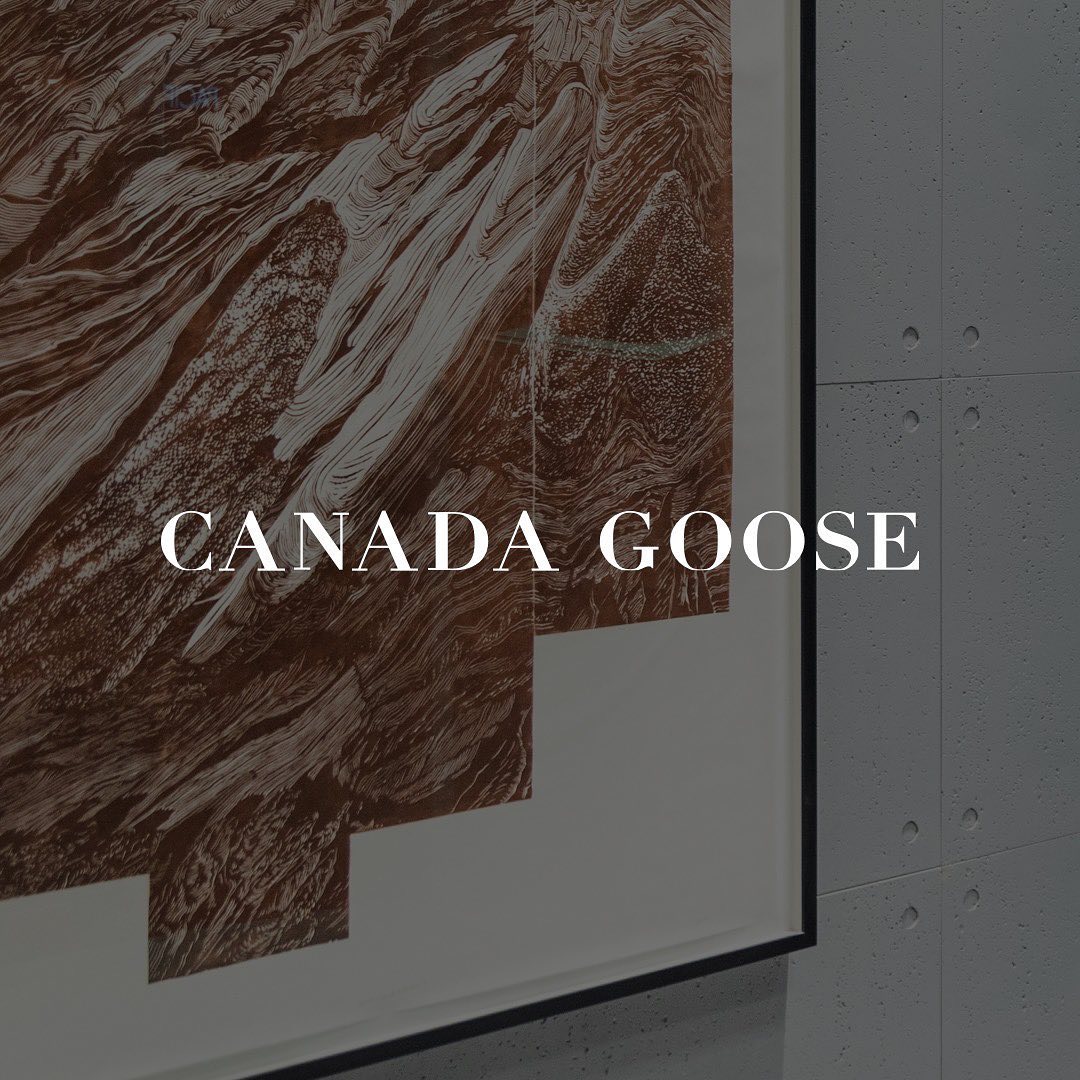 canadagoose_67687586_191332735207116_2729275308934325530_n.jpg