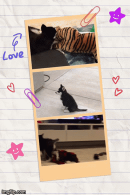 4r0m6f.gif