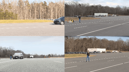 448_252gif 动态图 动图