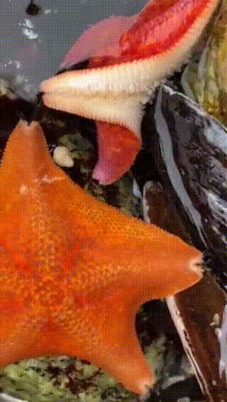 8888.gif