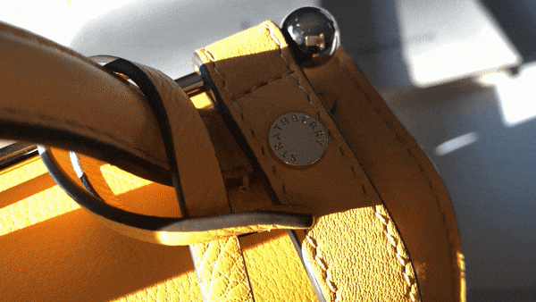 gif5.gif