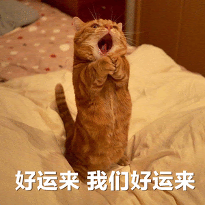 unnamed.gif