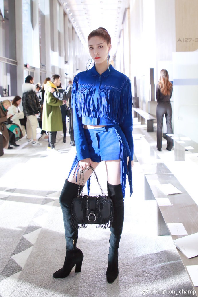 long champ 蓝黑 宋妍霏.jpg