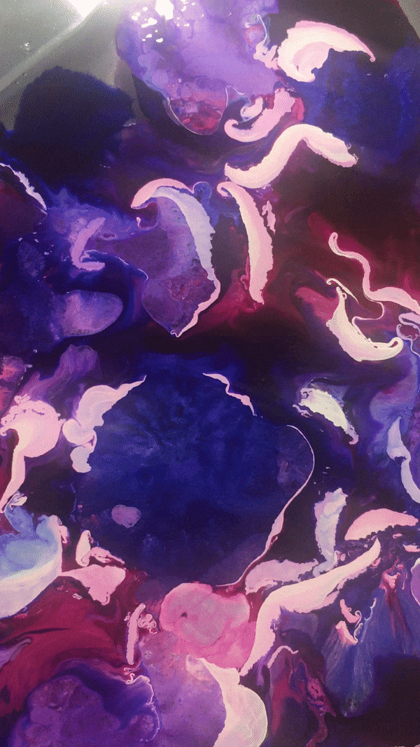 6.gif