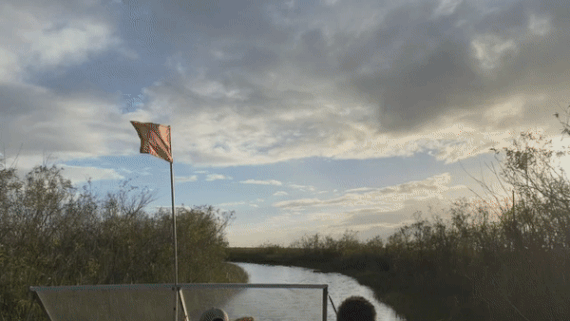 ezgif.com-gif-maker.gif