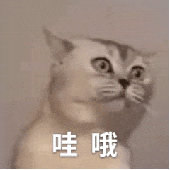 西雅图周边游