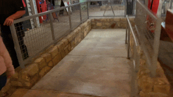 ezgif-6-ccc1457d4934.gif