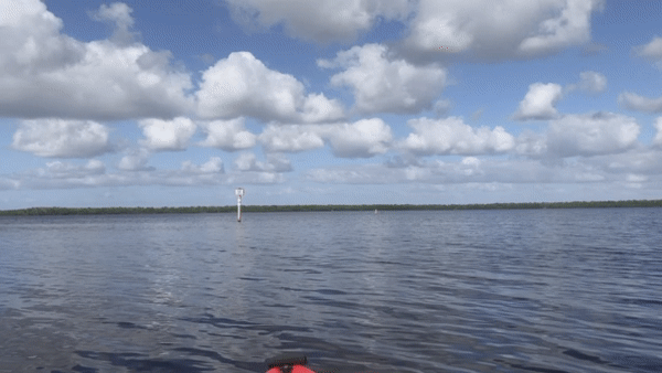 ezgif.com-gif-maker.gif