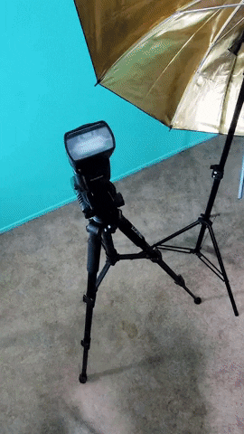 giphy (10).gif