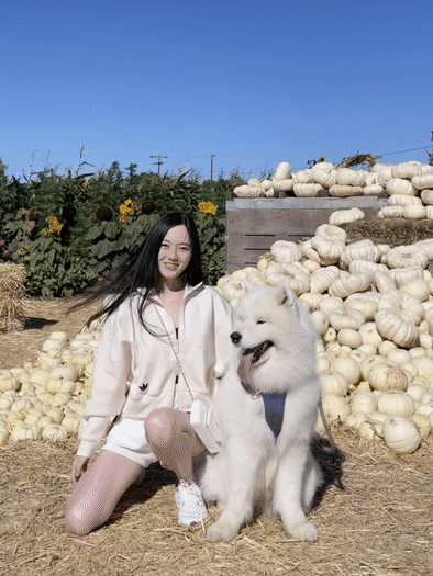ezgif.com-gif-maker.gif
