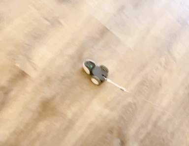 1571623629486.GIF