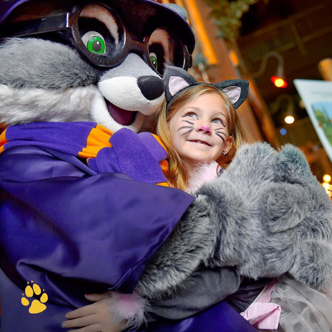 greatwolflodge_44364833_553048605121815_7932702275260121357_n.jpg