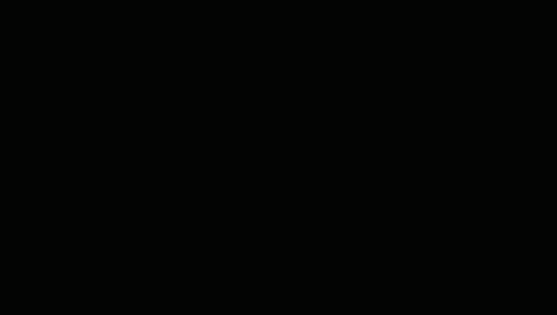 C0019_4.gif