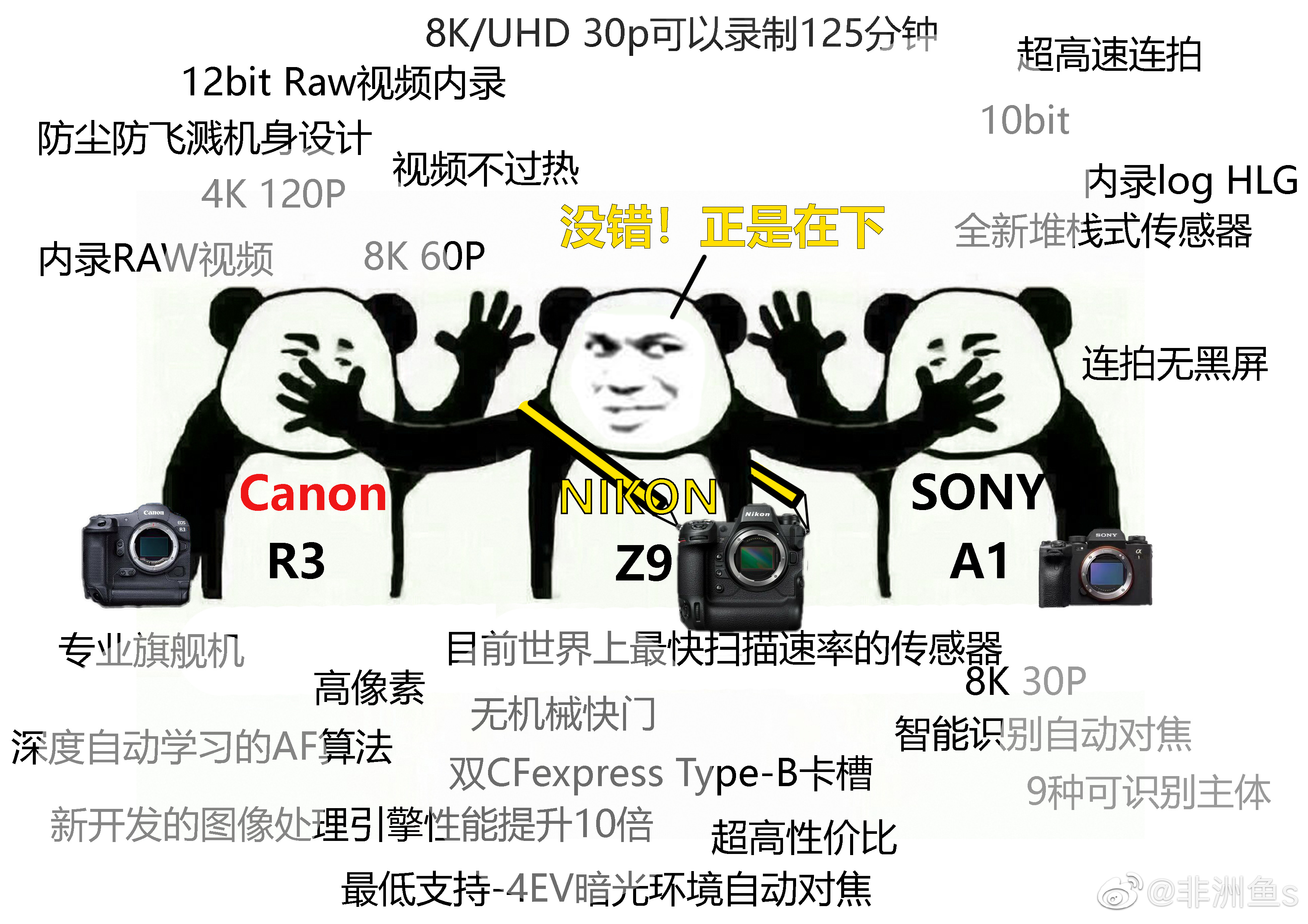 尼康正式发布z 9无反相机 8k 60p 4k 120p 4k 60p Prores 5496 95 感动常在鞋厂 北美省钱快报