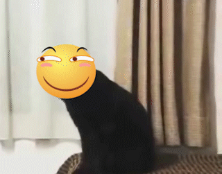 006HJgYYgy1fsskeard76g308w06zqsr.gif