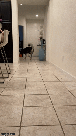 4r0u1b.gif