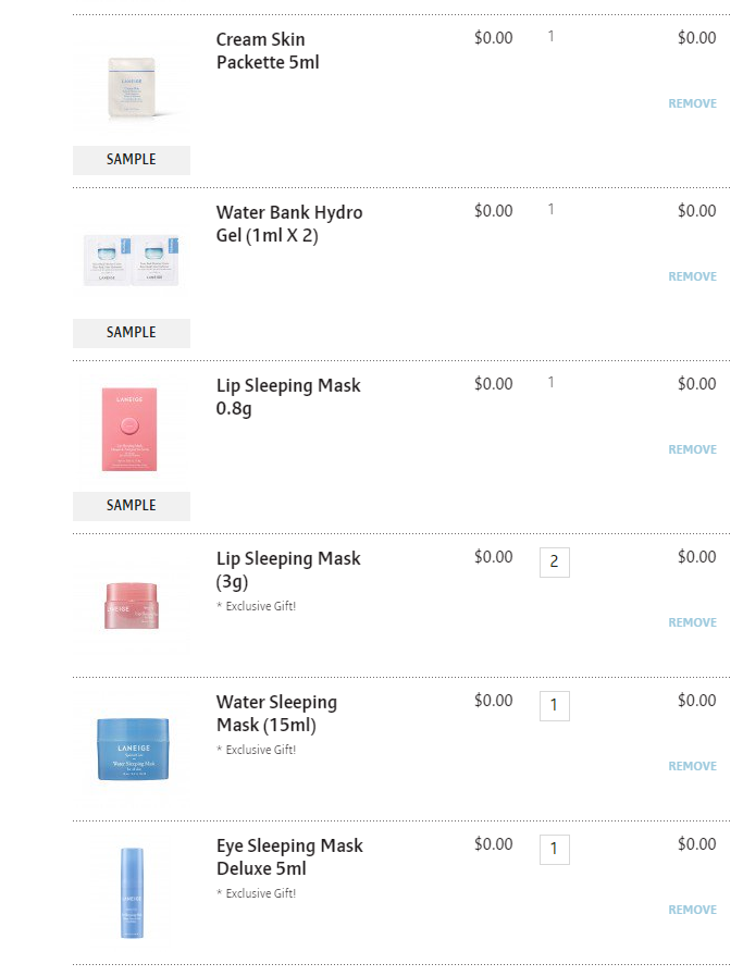 FireShot Capture 077 - Shopping Cart - us.laneige.com.png