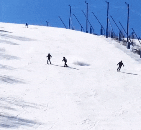 双板滑雪gif图片