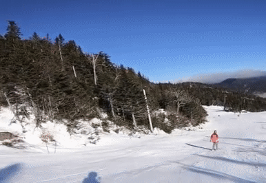 ezgif.com-video-to-gif.gif
