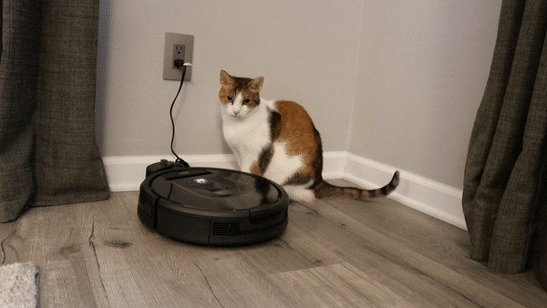 ezgif.com-gif-maker (5).gif