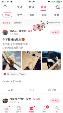 giphy5.gif