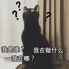 006HJgYYgy1fsskemwu31g306o06oh2t.gif
