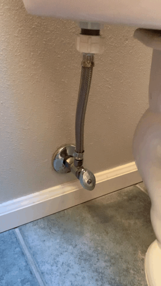 ff.gif
