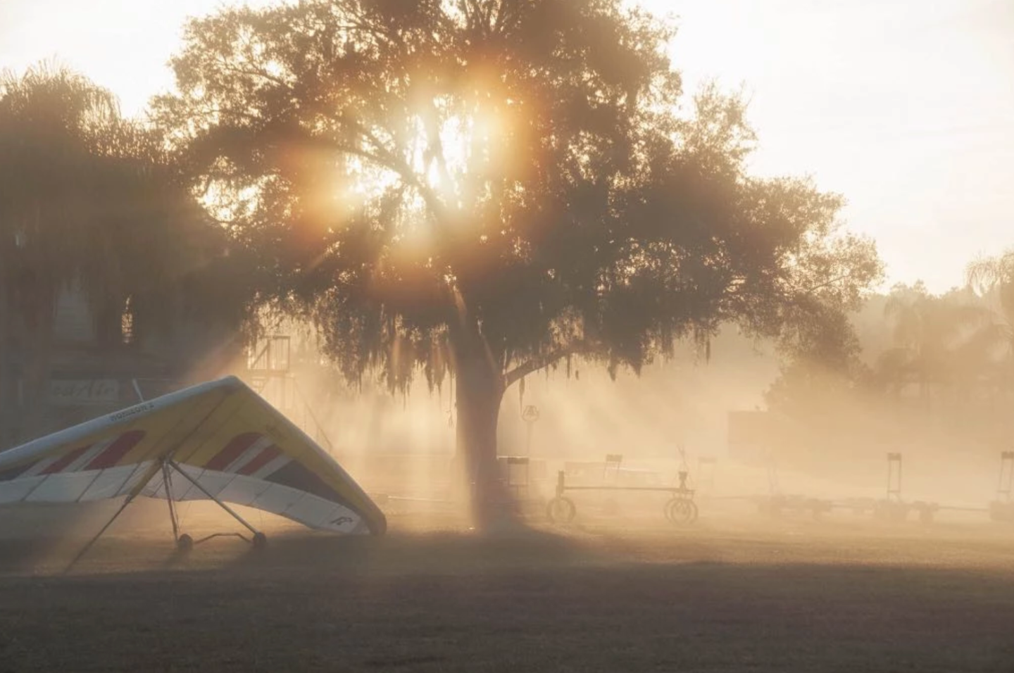 奥兰多周边 hang gliding 高空悬挂滑翔机体验 $137起 鸟瞰周边美景