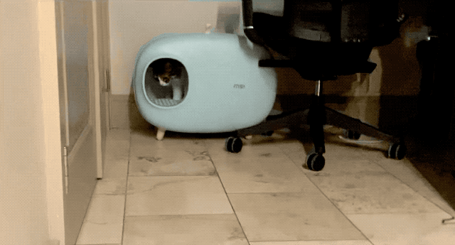 out.gif
